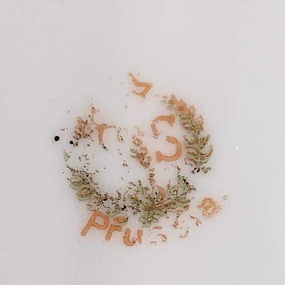 Antique R.S. Prussia Red Mark Rose Motif Porcelain Decorated Relish Dish - Picture 5 of 5